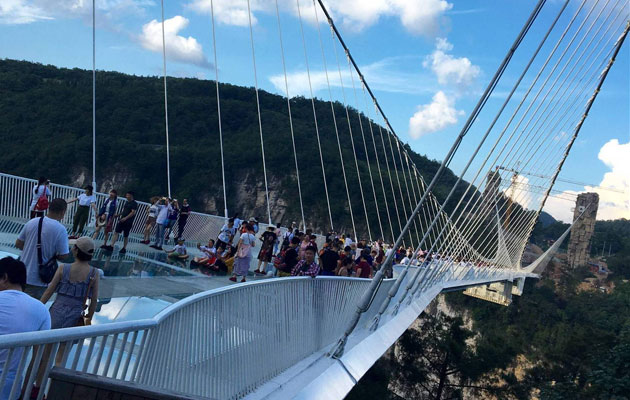 开云体育官网下载